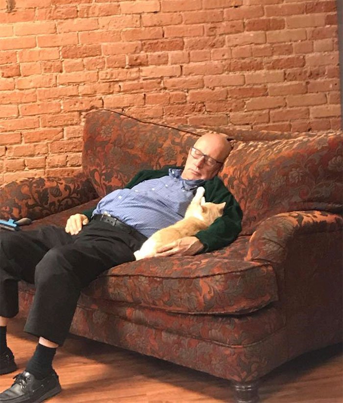 Este senhor visita um abrigo de gatos todo dia para dormir com os bichanos