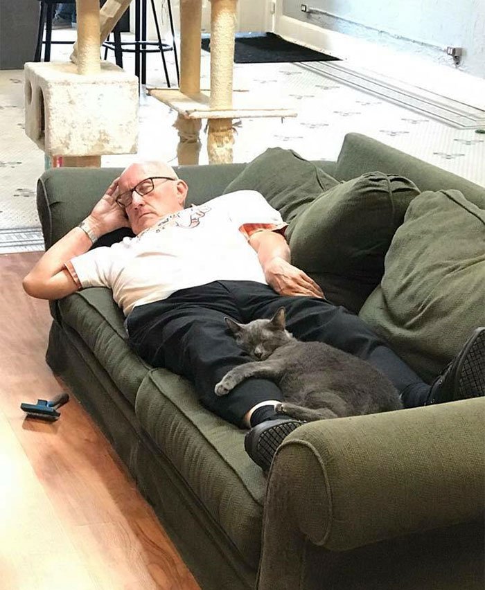 Este senhor visita um abrigo de gatos todo dia para dormir com os bichanos