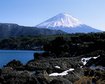 thumb-image-2024-02-29T14:03:42.639Z