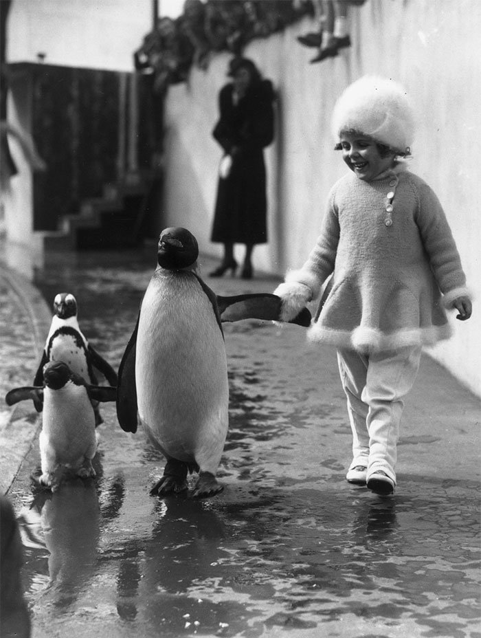 Menina com pinguins