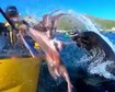 thumb-image-2024-02-29T14:03:42.995Z