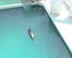 thumb-image-2024-02-29T14:03:43.572Z
