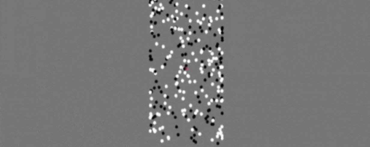 thumb-image-2024-02-29T14:03:43.782Z