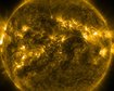 thumb-image-2024-02-29T14:03:43.946Z