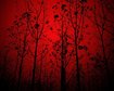 thumb-image-2024-02-29T14:03:44.243Z