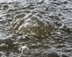 thumb-image-2024-02-29T14:03:44.903Z