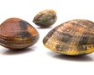 thumb-image-2024-02-29T14:03:45.289Z