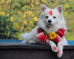 thumb-image-2024-02-29T14:03:45.254Z
