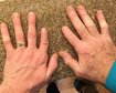 thumb-image-2024-02-29T14:03:45.616Z