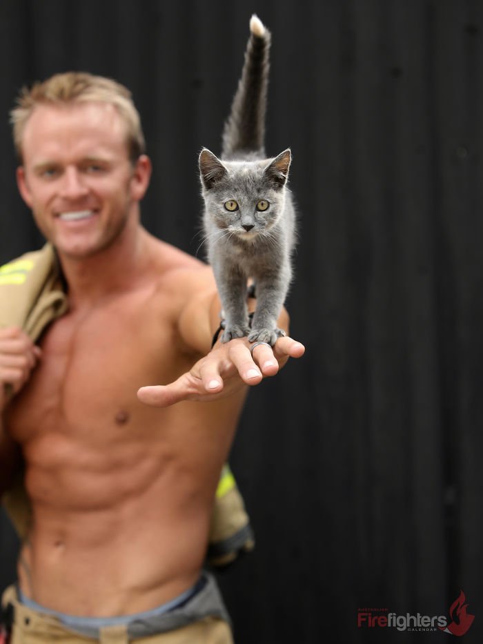 Este calendário de bombeiros com bichinhos é sensual e fofo ao mesmo tempo