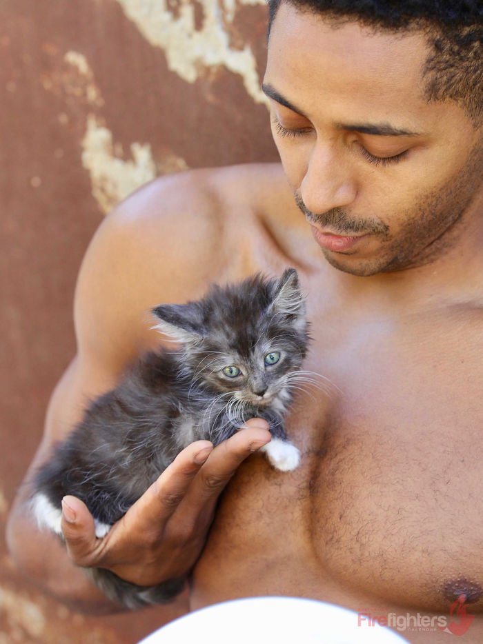 Este calendário de bombeiros com bichinhos é sensual e fofo ao mesmo tempo