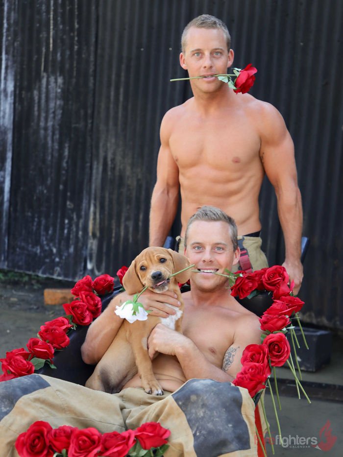 Este calendário de bombeiros com bichinhos é sensual e fofo ao mesmo tempo