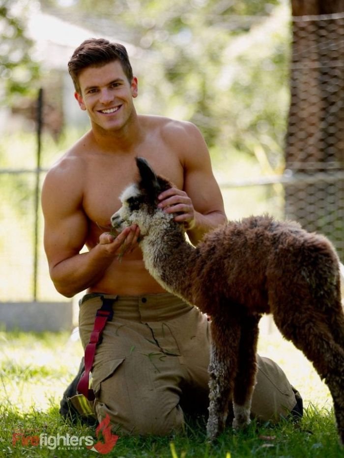 Este calendário de bombeiros com bichinhos é sensual e fofo ao mesmo tempo
