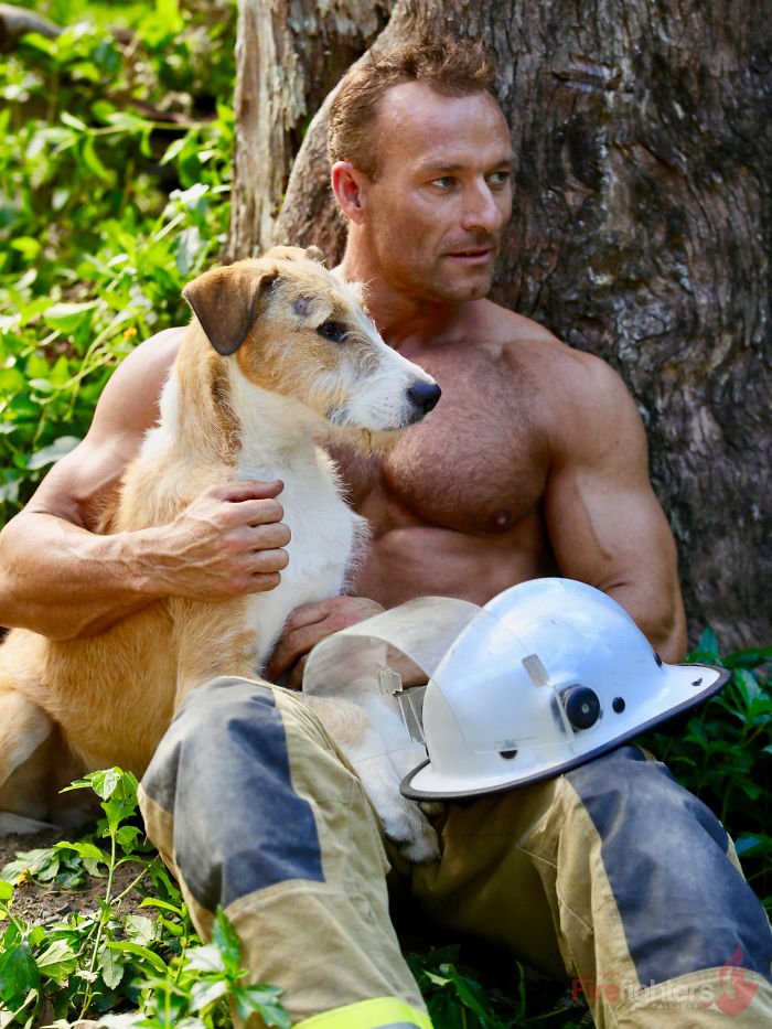 Este calendário de bombeiros com bichinhos é sensual e fofo ao mesmo tempo