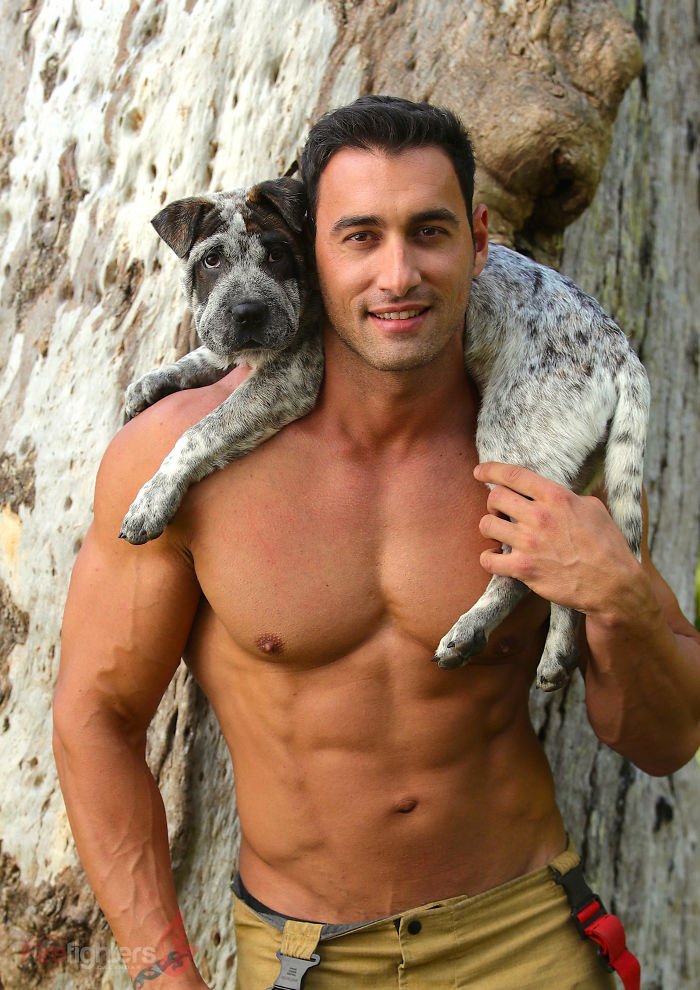Este calendário de bombeiros com bichinhos é sensual e fofo ao mesmo tempo