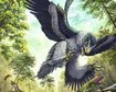 thumb-image-2024-02-29T14:03:46.042Z