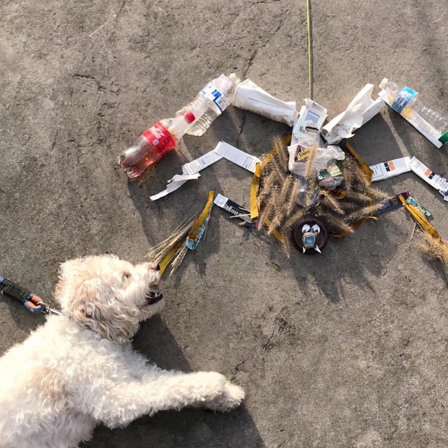 Estas esculturas de animais feitas de lixo nos mostram uma triste realidade