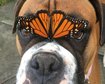 thumb-image-2024-02-29T14:03:46.593Z