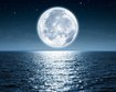 thumb-image-2024-02-29T14:03:46.637Z