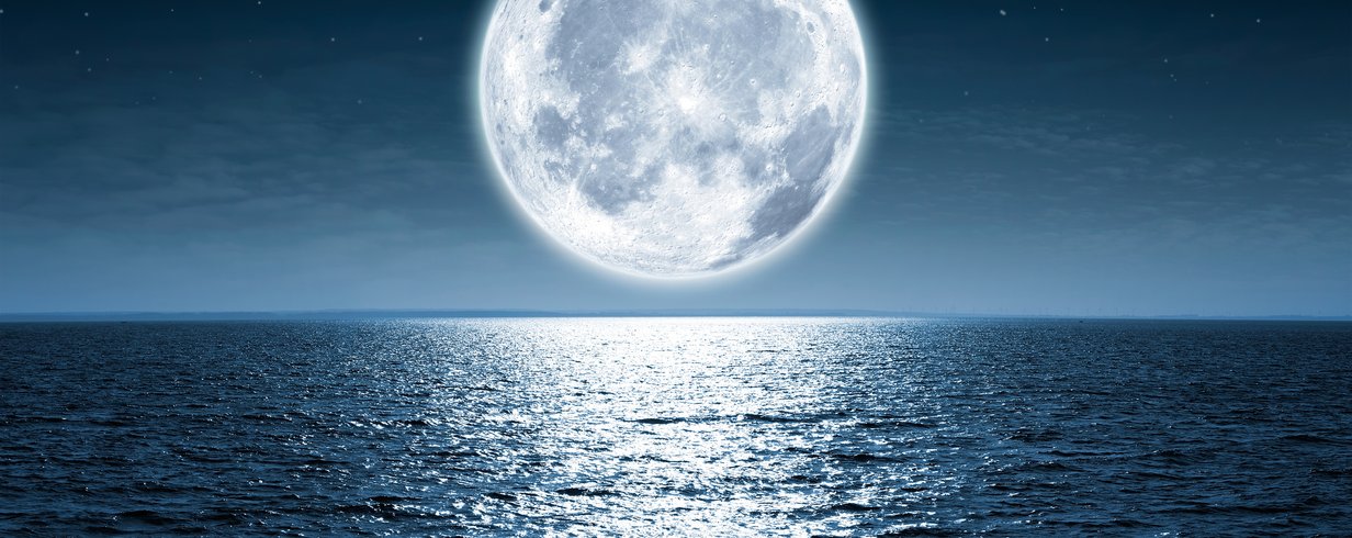 thumb-image-2024-02-29T14:03:46.637Z