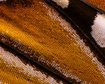 thumb-image-2024-02-29T14:03:46.657Z