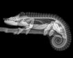 thumb-image-2024-02-29T14:03:47.141Z