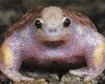 thumb-image-2024-02-29T14:03:47.215Z