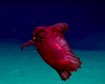 thumb-image-2024-02-29T14:03:47.307Z