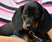 thumb-image-2024-02-29T14:03:47.351Z