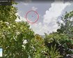 thumb-image-2024-02-29T14:03:48.141Z