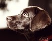 thumb-image-2024-02-29T14:03:48.174Z