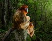 thumb-image-2024-02-29T14:03:48.224Z