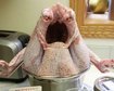 thumb-image-2024-02-29T14:03:48.272Z
