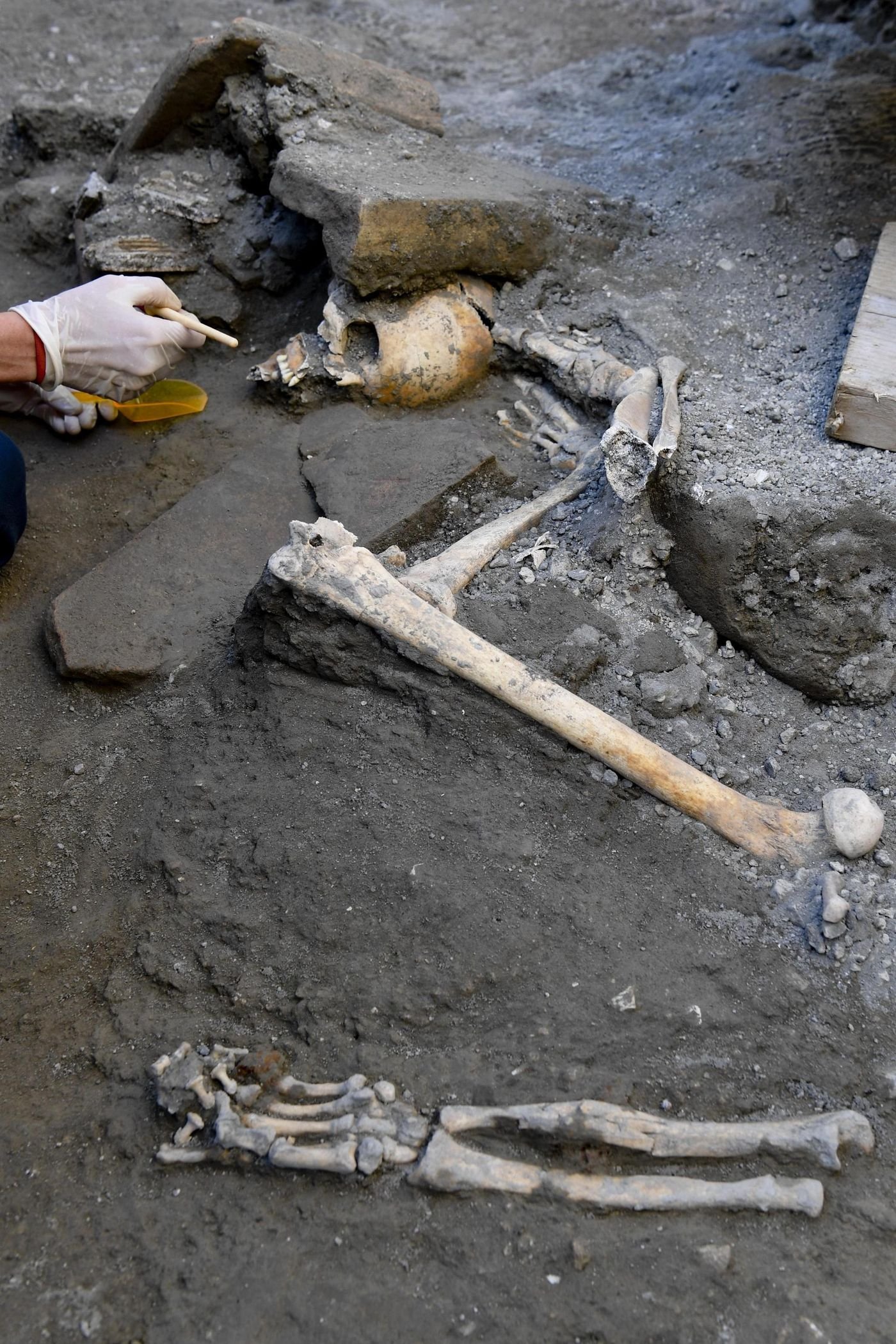 Esqueleto em Pompeia