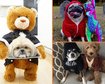 thumb-image-2024-02-29T14:03:49.149Z