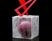 thumb-image-2024-02-29T14:03:49.254Z