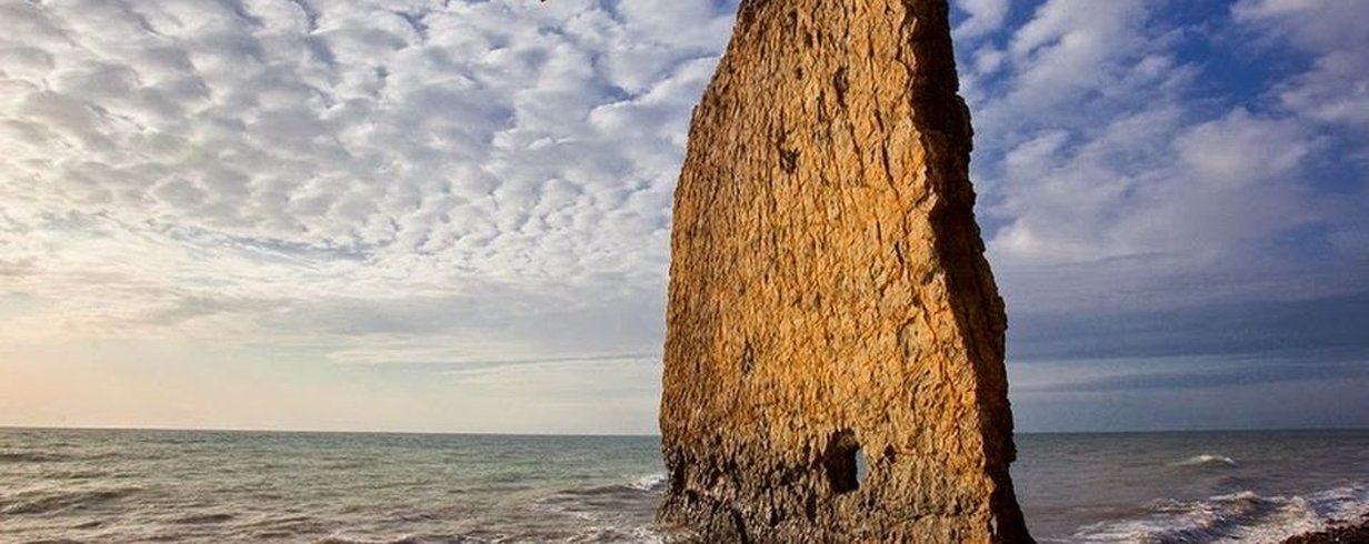 thumb-image-2024-02-29T14:03:49.354Z