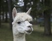 thumb-image-2024-02-29T14:03:49.724Z