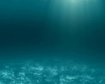 thumb-image-2024-02-29T14:03:50.092Z