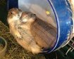 thumb-image-2024-02-29T14:03:50.299Z