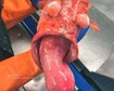 thumb-image-2024-02-29T14:03:51.444Z