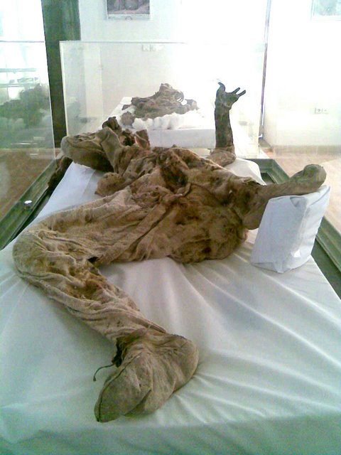 Múmia de sal