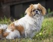 thumb-image-2024-02-29T14:03:51.756Z
