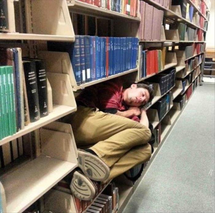 Soneca na biblioteca 
