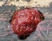 thumb-image-2024-02-29T14:03:52.232Z