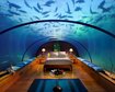 thumb-image-2024-02-29T14:03:53.764Z