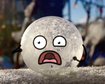 thumb-image-2024-02-29T14:03:53.744Z