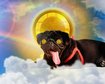 thumb-image-2024-02-29T14:03:54.004Z