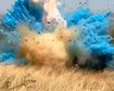 thumb-image-2024-02-29T14:03:54.182Z