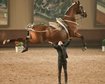 thumb-image-2024-02-29T14:03:54.243Z